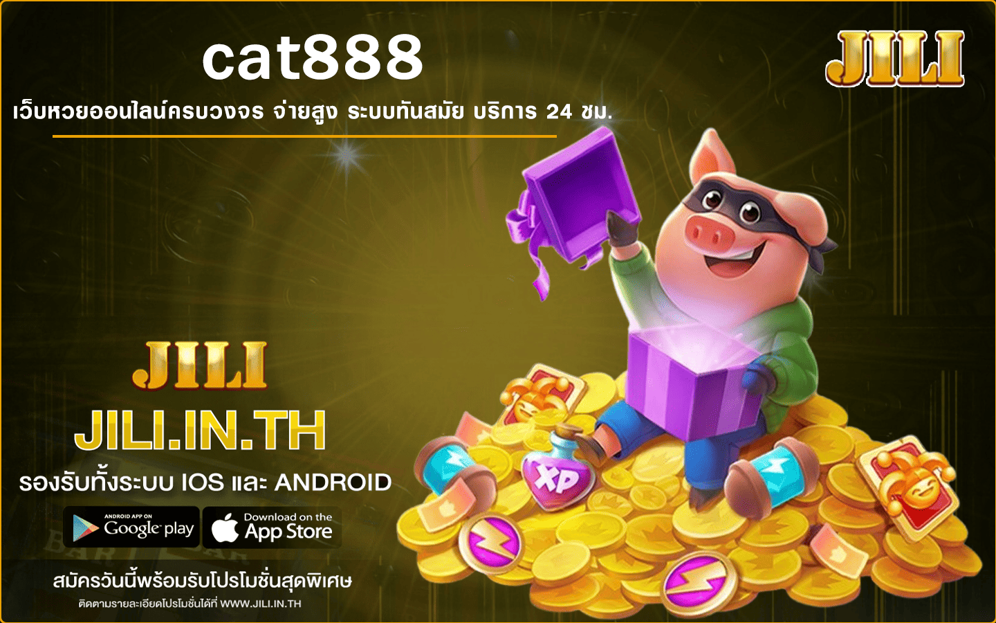 cat888