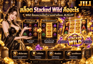 สล็อต Stacked Wild